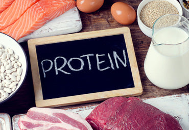 Benefits of Adding Protein to Your Diet