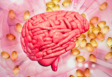 Top 5 Brain Performance Supplements to Keep You Sharp(er)
